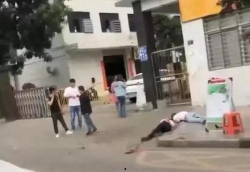 占陇中学爆料事件视频最新,真相与争议交织的校园风云